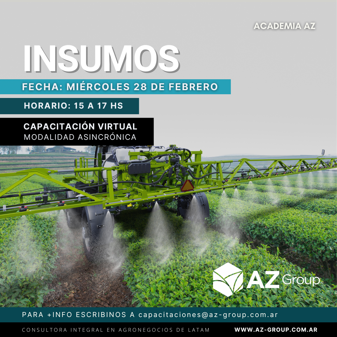 INSUMOS Talleres AZ ACADEMIA 2024